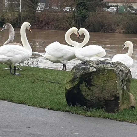 Centre Château-Thierry