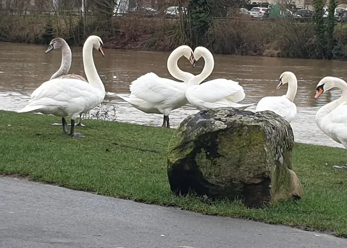 Centre Chateau-Thierry